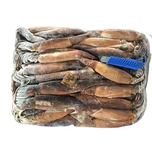 Grosir Frozen Illex Squid seluruh Harga bulat dengan kualitas terbaik