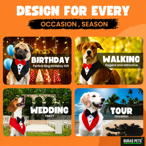 Dog Tuxedo Suit Wedding Party Christmas Modern Lightweight Formal Pet Apparel OEM ODM Custom Logo Direct Manufacturer - Product Image 5