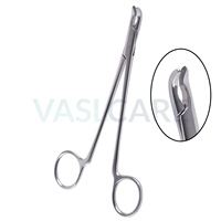 Kit dentaire pour rongeurs, extraction des dents de lapin, molaire, incisif, kit vétérinaire, dentisterie des dents de joue des petits animaux, ensemble en acier inoxydable allemand