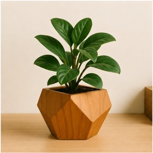 Maceta Geométrica Moderna de Madera, Minimalista, Facetada, para Suculentas, Hecha a Mano, Decoración Sostenible para Escritorio, Hogar y Oficina - Product Image 1
