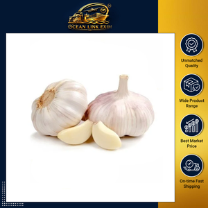 Ail indien frais de haute qualité, blanc/blanc cassé, bulbes à l'arôme naturel intense pour la cuisine et la transformation des épices, disponible en gros - Product Image 6