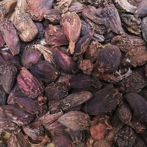 Cardamome noire fraîche, saveur naturelle, cardamome noire pour l'exportation, vente en gros, haute pureté et prix attractif - Product Image 2