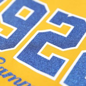 T-shirt à manches longues Sigma Gamma Rho, or et bleu royal, vêtements de sport décontractés, col rond, vêtements d'équipe personnalisés, OEM ODM, vente en gros - Product Image 4