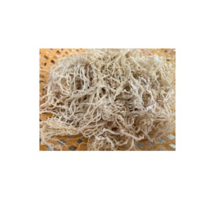 Vente en gros Yellow & Purple Eucheuma Cottonii 100% Bio Cottonii Seaweed Vegan Superfood Vietnam Export - Product Image 3
