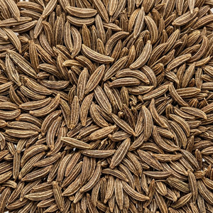 Cumin indien 100 % pur sélectionné à la main du Gujarat pour les marques d'aliments santé d'Asie du Sud-Est – Cumin entier de qualité supérieure, grade export (Jeera) - Product Image 6