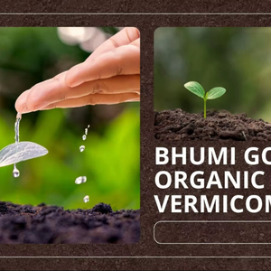 Engrais organique VERMICOMPOST, produit de première qualité, engrais organique vermicomposté pour plantes, vermicompost de haute qualité - Product Image 1