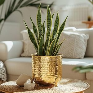 Modern Brass Flower <b>Pot</b> with Long Handle and Hand Carved Finish 16cm Diameter for <b>Table</b> Top Use - Product Image 5