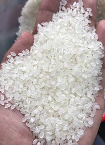 ARROZ JAPONÉS PREMIUM PARA SUSHI, Empacado en Bolsas de Papel BOPP de 1KG, 2KG, 5KG para Supermercados y Mercado Mayorista (Joice) - Product Image 6