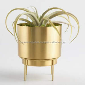 Soporte Metálico para Macetas de Cocina, Ideal para Hierbas y Microgreens Junto a Ventanas, con un Toque Decorativo - Product Image 3