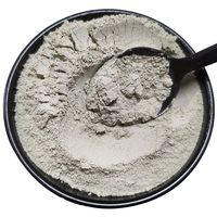 Additif pouzzolanique de poudre de zéolite de qualité construction haute activité pour le mélange de ciment de mortier de béton minéral non métallique