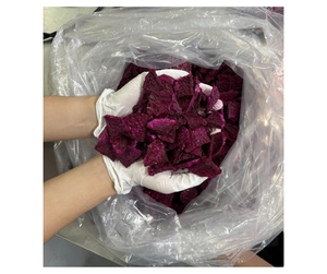 โยเกิร์ตฟรีซดรายเกรดพรีเมียมจากเวียดนาม - ขนมโยเกิร์ตกรุบกรอบสำหรับการแปรรูปอาหาร - Product Image 3