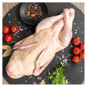 Pato Congelado Halal de Alta Calidad Empacado para Exportación Internacional, Venta al por Mayor y Mercados de Servicios de Alimentación - Product Image 1