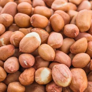 Organic Peanuts Nuts Packing Bulk Dried Peanut Kernel Wholesale Raw <b>Red</b> Skin Top Grade Fresh Quality Austria - Product Image 6