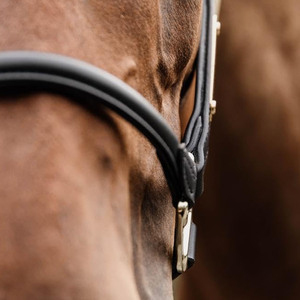 Cabestro de cuero para caballo, tipo polo, de diseño resistente para entrenamiento, manejo, control y uso diario en el cuidado ecuestre. - Product Image 6