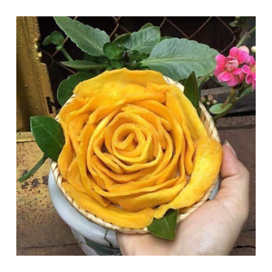 Vietnam dried mango bulk supplier factory direct soft chewy OEM <b>packaging</b> export high quality standard - Product Image 1