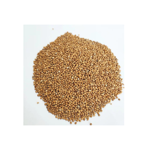 Yellow <b>Millet</b> Yellow Broomcorn For Bird Seeds With <b>Millet</b> Seeds - Product Image 4