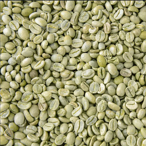 Premium Grade AA+ Organic Arabica Specialty Coffee <b>Beans</b> 1000kg Size 16 ISO 22000 Certified Jute Bags Vietnam Wholesale Supplier - Product Image 1