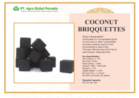 Meilleures briques de charbon de coco pour chicha/barbecue Cocobriqa BRQ06 2026, 100% naturelles, de coque de noix de coco, qualité supérieure, hexagonales, noires
