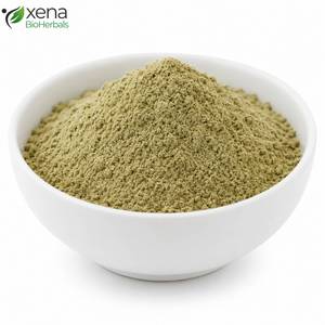 Fabricante Confiable de Extractos de Plantas, Extracto de Phyllanthus Niruri en Polvo, Ingrediente Natural para Formulaciones de Bienestar, OEM - Product Image 1
