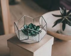 Indoor Decor Glass Metal Terrarium Planter Stylish Geometric Plant Holder Home Decoration - Product Image 1