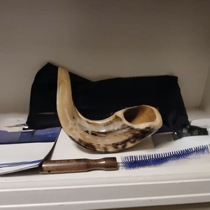 Polished Natural Sheep Ram Shofar Horn-Eco-Friendly Religious Home Decor High Quality - Product Image 1