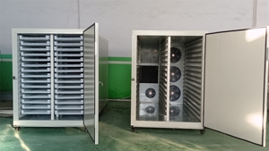 Deshidratador de bomba de calor directo de fábrica para frutas, verduras, pescado, carne, bajo consumo eléctrico con motor central y componentes PLC - Product Image 4