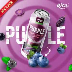 Jugo Compuesto Rita Purple, Sabor a Morera, Arándano, Goji Negro y Zanahoria Morada, Lata de 490 ml, Venta al por Mayor, OEM, ODM - Product Image 2