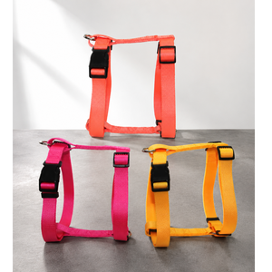 Harnais de sécurité pour animaux de compagnie, confortables à porter, design uni, disponibles en nylon, fabrication OEM/ODM au Vietnam, série basique unie. - Product Image 3