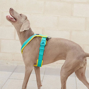 Harnais rembourré de haute qualité pour chien avec boucle en alliage et anneau en D, gilet respirant et réglable anti-traction pour chiens de taille moyenne - Product Image 5