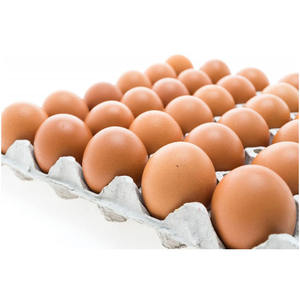 Proveedor Directo de Huevos Frescos de Gallina de Color Marrón para Venta al por Mayor, Huevos de Gallina Naturales de Primera Calidad Disponibles para Pedidos al por Mayor - Product Image 5