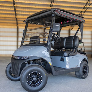 Carrito de Golf Eléctrico EZGO Freedom RXV 48V de Alta Calidad, Nuevo, Premium, de 2 Plazas, con Batería de Litio, para Uso en Resorts y Clubs, a Bajo Precio - Product Image 1