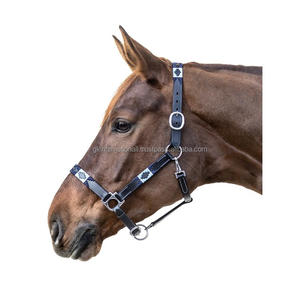 Polo à selle anglaise en cuir argentin licou pour cheval équipement de cheval de haute qualité design personnalisé licous colorés en fil ciré - Product Image 5