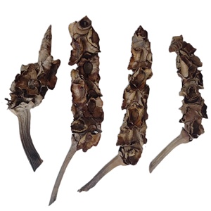 Decoración Interior del acuario, Material de planta cruda Natural, Palma femenina, flor seca de palmera para decoración, manualidades DIY - Product Image 2