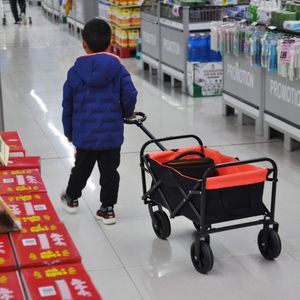 Mini Carrello Pieghevole Nero e Giallo per Giardino e Spiaggia - Product Image 1