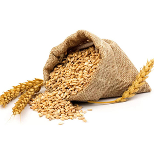 Grains de blé dur 100% durables, prix attractifs pour les ventes en forte demande - Product Image 1