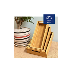OFFRE LIMITÉE Plateau en bambou écologique Safe Clean, article végétal pur, idéal pour le thé et le café, fournisseur - Product Image 1