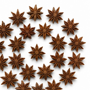 Wholesale Price International Standard Best Selling Vietnam Manufacturer Supply Star Anise 25kg/carton - Product Image 3