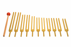 Ensemble de diapasons planétaires – 11 diapasons cosmiques à finition dorée pour la guérison sonore. - Product Image 6