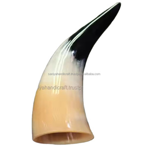 SANIYA HANDICRAFT Cuerno para beber pulido Pequeño negro Agua blanca Búfalo vikingo Aproximadamente 5 a 8 pulgadas de longitud 2 pulgadas de ancho Boca - Product Image 6