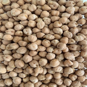 Garbanzos Kabuli Orgánicos Deshidratados de Alta Nutrición, 7mm-8mm 9mm-14mm, a Granel, 25kg, 24 Meses de Vida Útil - Product Image 4