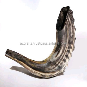 Cuerno Natural Pulido Ram Shofar Estilo Animal Artesanía Religiosa Judía a Precio - Product Image 4