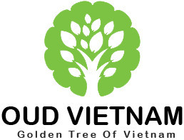 ไม้กฤษณาเวียดนามคุณภาพดีที่สุด ไม้กฤษณาอบแห้งสำหรับใช้ในบ้าน กลิ่นหอมเวียดนาม ใช้ได้ทุกฤดู AOW2 กลิ่นหอมติดทนนาน แรงเข้มข้น - Product Image 2