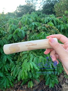 Jouets à mâcher en bois naturel de qualité supérieure pour chiens, plusieurs tailles, durables, écologiques, fournitures pour animaux de compagnie d'intérieur, fabriqués au Vietnam - Product Image 4