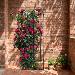 Black Metal Garden Rose Trellis Tower with Circular Support Rings Climbing Plant Frame for Vines Flowers Outdoor Garden Decor - Product Image 6