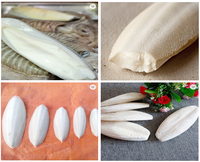Os de Seiche Séchés de Haute Qualité du Vietnam, Certifiés HACCP ISO, Grade A, Séchage Naturel au Soleil, 4-15cm, Bon Prix - Liam
