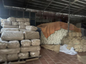 Vietnamita 1,5mm Núcleo de ratán blanqueado Muebles de jardín Artesanía Materia prima Marca HNIECO 25/50kg Hecho en Vietnam (Mr.Huy - Product Image 5