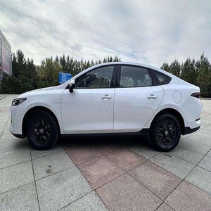 LISTO PARA ENTREGAR B Y DD QIIN PLUS 2025 DM I 55KM - Product Image 2