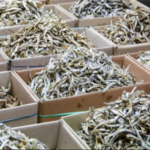 Proveedor de Anchoas Secas de Vietnam, Exportación de Mariscos Limpios y Frescos para el Mercado Europeo - Product Image 6