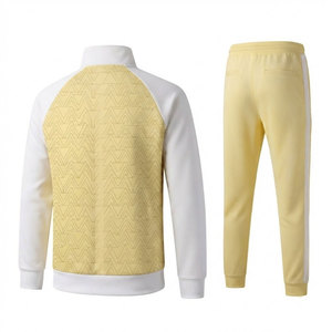 Ensemble de survêtement léger pour homme, veste et pantalon de sport, idéal pour l'entraînement quotidien, la course à pied et la remise en forme. - Product Image 2