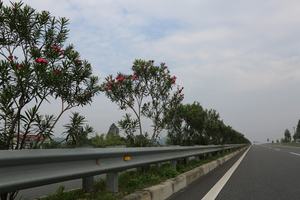 ทางหลวงรั้วสำหรับขาย - Product Image 5